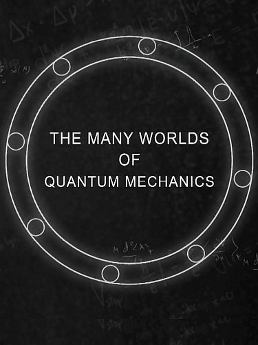 Множественные миры в квантовой механике / The Many Worlds of Quantum Mechanics (2019) HDTVRip 720p
