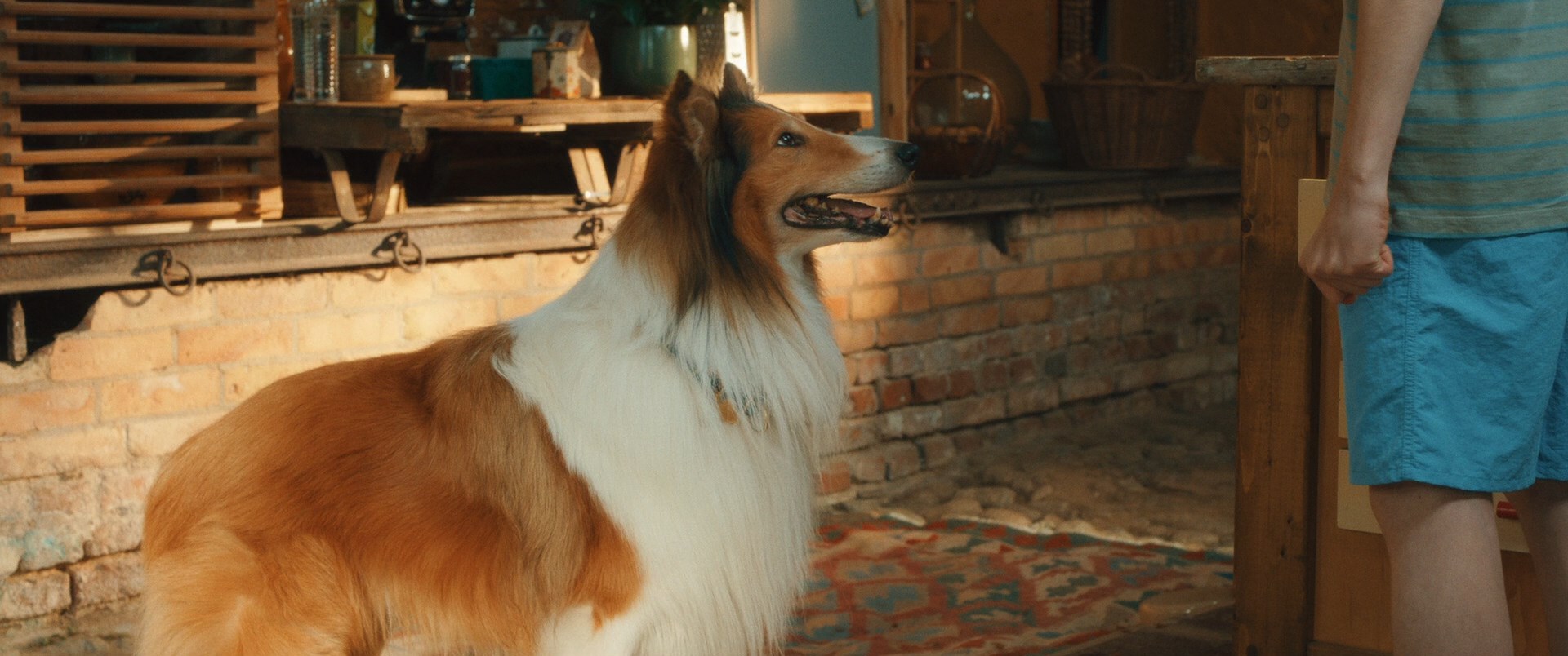 Лесси — лохматый детектив / Lassie - Ein neues Abenteuer (2023) BDRip 1080p | D