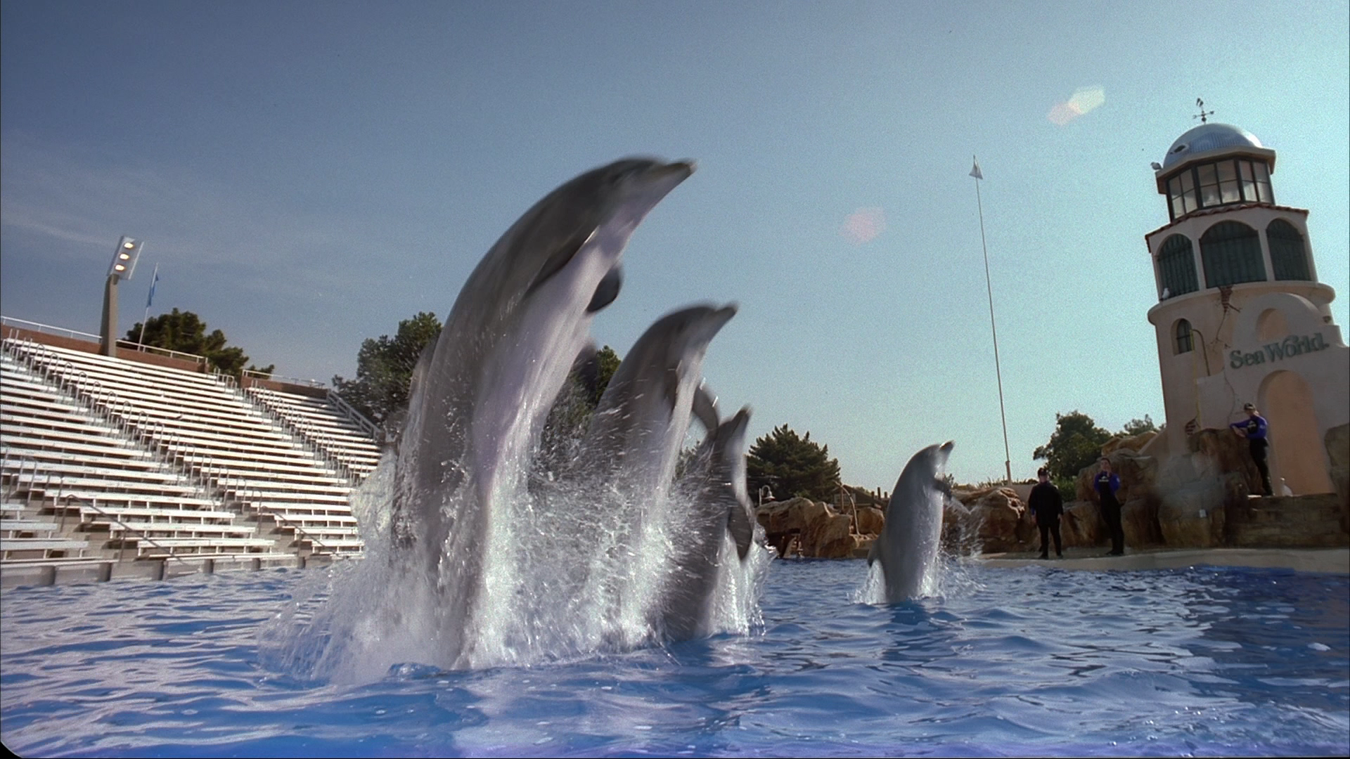 IMAX: Дельфины / IMAX: Dolphins / 2000 / СТ / Blu-Ray Remux (1080p)