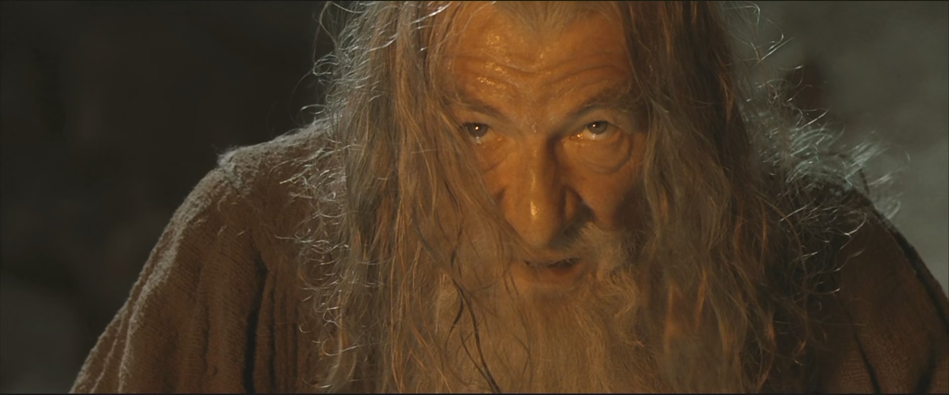 Властелин колец: Братва и кольцо / The Lord of the Rings: The Fellowship of the Ring / 2001 / АП (Гоблин) / HEVC / BDRip (1080p)
