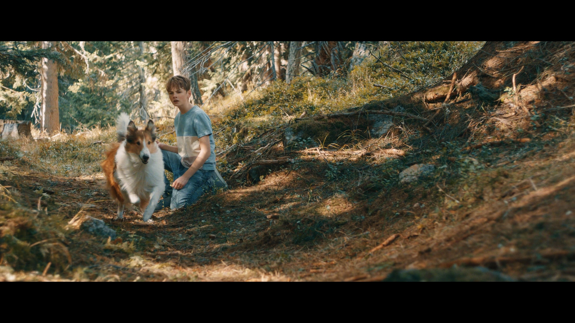 Лесси — лохматый детектив / Lassie - Ein neues Abenteuer (2023) BDRemux 1080p | D