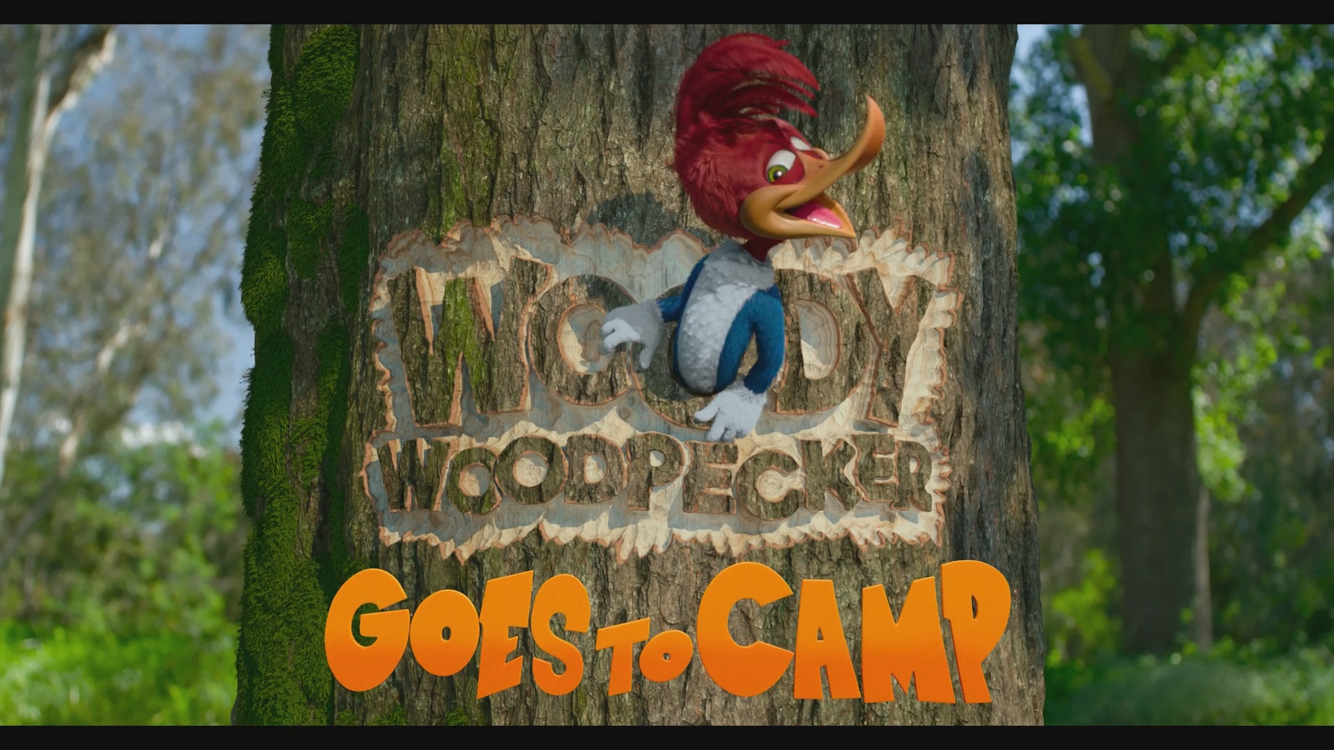 Вуди Вудпекер отправляется в лагерь / Woody Woodpecker Goes to Camp (2024) WEB-DL 1080p | D