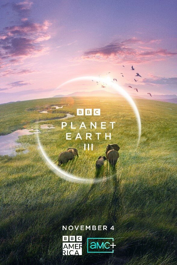 BBC: Планета Земля III (1 сезон: 1-8 серии из 8) / Planet Earth III / 2023 / СТ / WEB-DL (1080p)